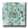 thumbnail image 1 of Epic Graffiti 'Verdant Succulent I' by Victoria Borges, Canvas Wall Art, 12"x12", 1 of 2