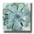 thumbnail image 1 of Epic Graffiti 'Verdant Succulent III' by Victoria Borges, Canvas Wall Art, 12"x12", 1 of 2