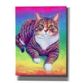 thumbnail image 1 of Epic Graffiti 'Vibrant Rainbow Brown Tabby Cat'  by Rebecca Wang Art Canvas Wall Art, 12" x 16", 1 of 8