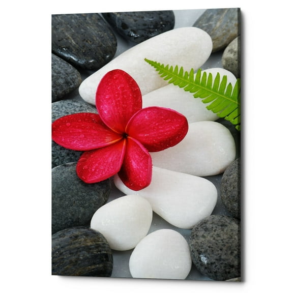 Epic Graffiti 'Wabi-Sabi I' Canvas Wall Art, 18"x26"