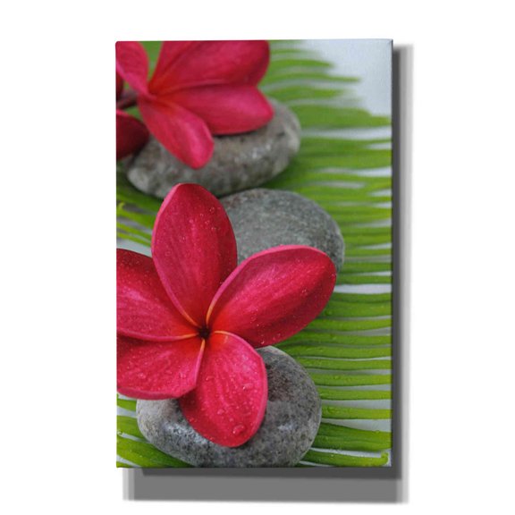 Epic Graffiti 'Wabi Sabi II' Canvas Wall Art, 26"x40"