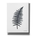 thumbnail image 1 of Epic Graffiti 'Watercolor Black Plant I' by Seven Trees Design, Canvas Wall Art, 12"x16", 1 of 2