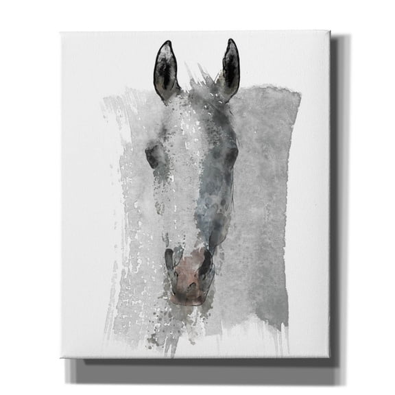 Epic Graffiti 'Watercolor Horse Portrait' by Irena Orlov, Canvas Wall Art, 20"x24"