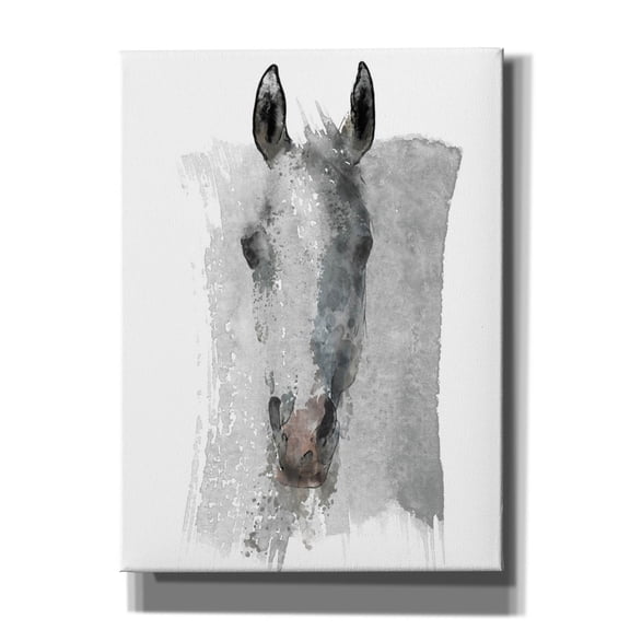 Epic Graffiti 'Watercolor Horse Portrait' by Irena Orlov, Canvas Wall Art, 40"x54"