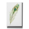 thumbnail image 1 of Epic Graffiti "Watercolor Peacock Feather II" by Ethan Harper, Canvas Wall Art, 26"x40", 1 of 2