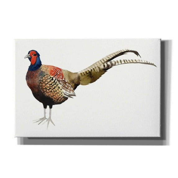 Epic Graffiti 'Watercolor Pheasant II' by Grace Popp, Canvas Wall Art, 60"x40"