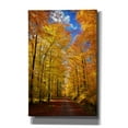 thumbnail image 1 of Epic Graffiti 'Way to Fall' by Philippe Sainte-Laudy, Canvas Wall Art, 26"x40", 1 of 8