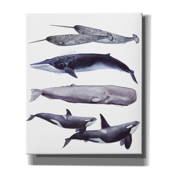 Epic Graffiti 'Whale Stack II' by Grace Popp, Canvas Wall Art, 20"x24"