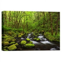 Epic Graffiti  "Where the Green Grows" by Darren White, Giclee Canvas Wall Art, 12" x 18" 18" x 26"