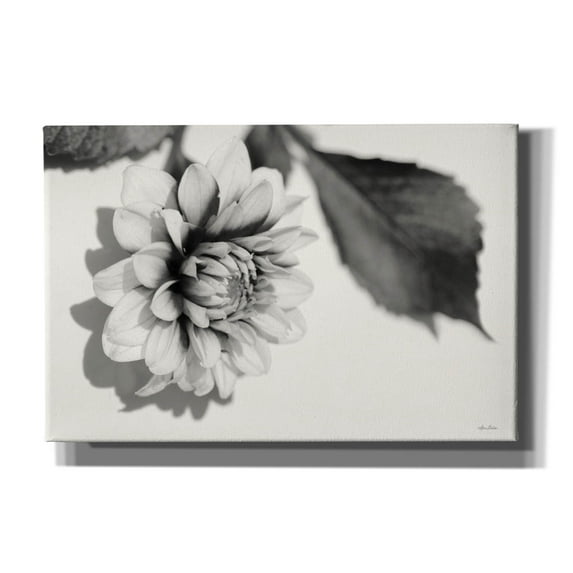 Epic Graffiti 'White Dahlia I' by Lori Deiter, Canvas Wall Art, 60"x40"