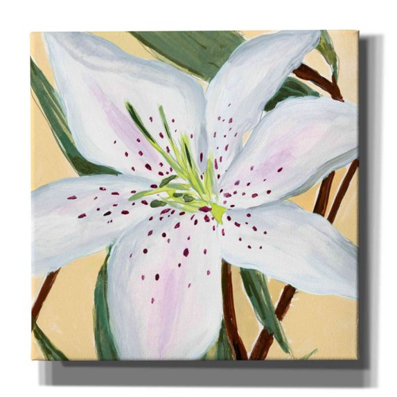 Epic Graffiti 'White Lily II' by Annie Warren, Canvas Wall Art, 12"x12"