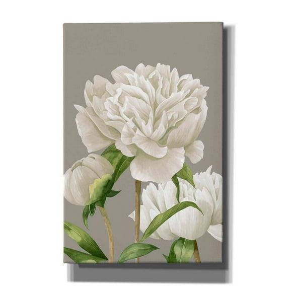 Epic Graffiti 'White Peonies II' by Grace Popp Canvas Wall Art, 26"x34"