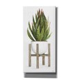 thumbnail image 1 of Epic Graffiti 'White Pots on Stands IV' by Cindy Jacobs, Canvas Wall Art, 12"x24", 1 of 2