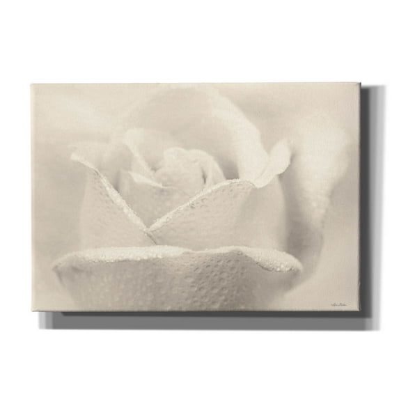 Epic Graffiti 'White Rose' by Lori Deiter, Canvas Wall Art, 26"x18"