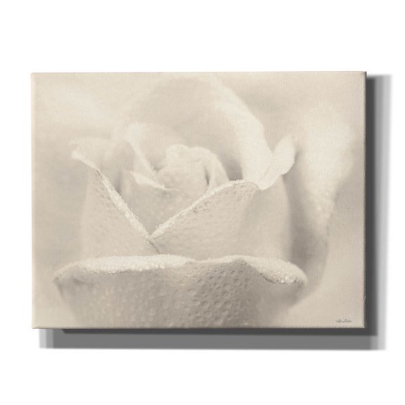 Epic Graffiti 'White Rose' by Lori Deiter, Canvas Wall Art, 34"x26"