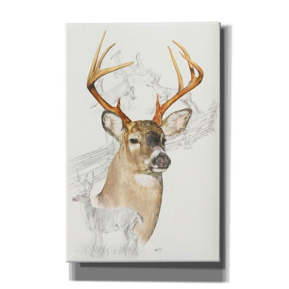 Epic Graffiti 'White Tailed Deer' by Barbara Keith, Canvas Wall Art, 26"x40"