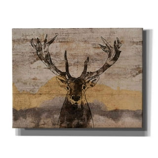 SIGNCHAT Whitetail Deer Magazine Cover Bow Hunting Fishing Funny Decor  Poster Wall Art Decor Metal Sign 20,3 x 30,5 cm : : Casa e cucina