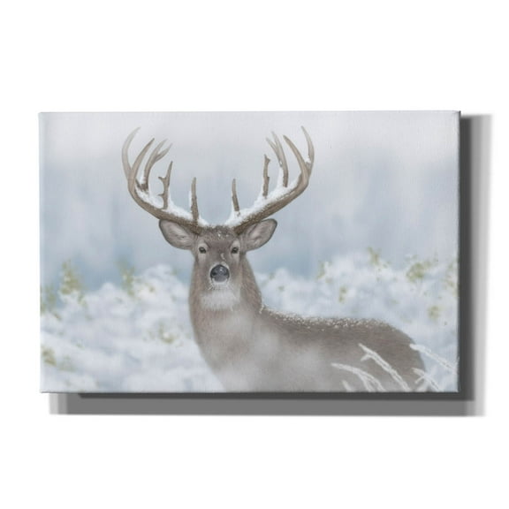 Epic Graffiti 'Whitetail Winter Wonderland' by Gordon Semmens Canvas Wall Art, 18" x 12"