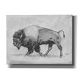 thumbnail image 1 of Epic Graffiti 'Wild Bison Study II' by Emma Scarvey, Giclee Canvas Wall Art, 16"x12", 1 of 8