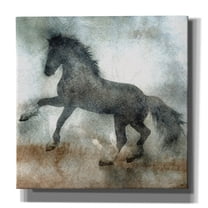 Epic Graffiti 'Wild Horse 2' by Irena Orlov, Canvas Wall Art, 37"x37"