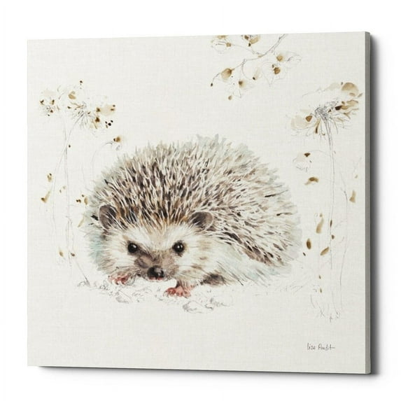 Epic Graffiti 'Wood Land Walk XII' by Lisa Audit, Canvas Wall Art, 37"x37"