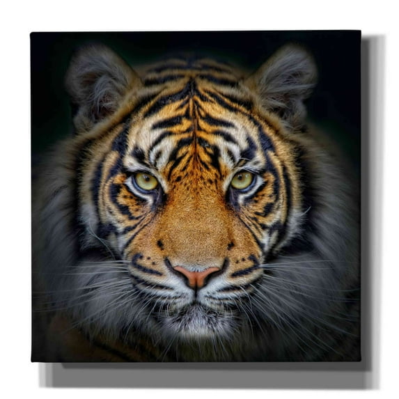 Epic Graffiti 'Wild Side' Canvas Wall Art, 26"x26"