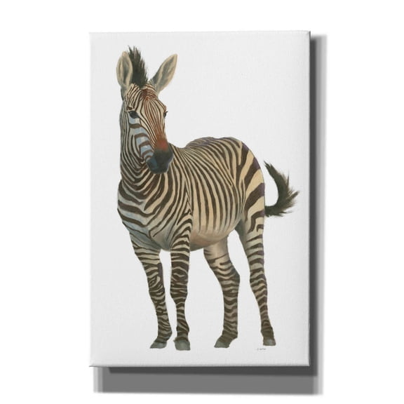 Epic Graffiti 'Wild and Free VI' by James Wiens, Canvas Wall Art, 40"x60"