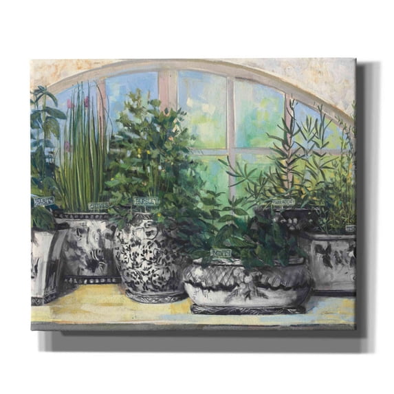 Epic Graffiti 'Windowsill Herbs Bw Vases Crop' by Carol Rowan, Giclee Canvas Wall Art, 24"x20"