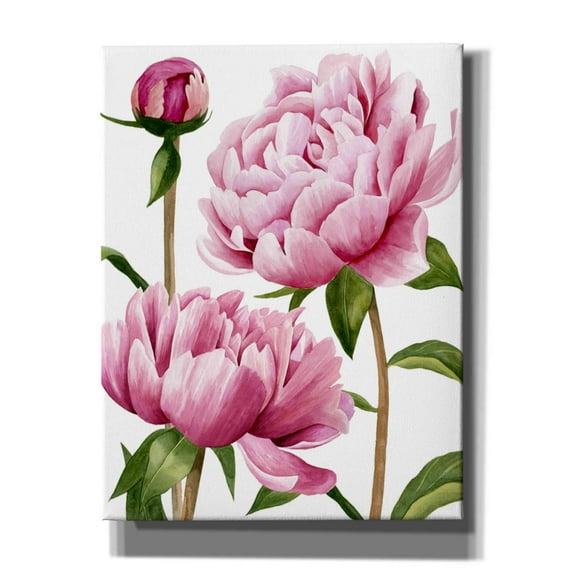 Epic Graffiti 'Winsome Peonies I' by Grace Popp, Canvas Wall Art, 26"x34"
