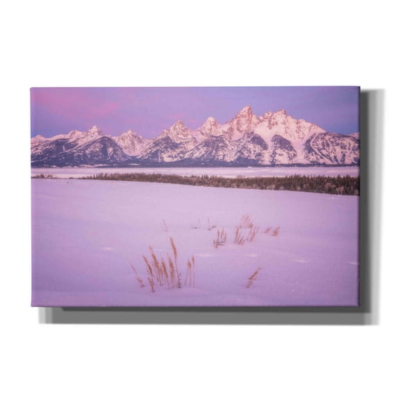 Epic Graffiti 'Winter Calm - Grand Teton National Park' by Darren White, Giclee Canvas Wall Art, 18"x12"