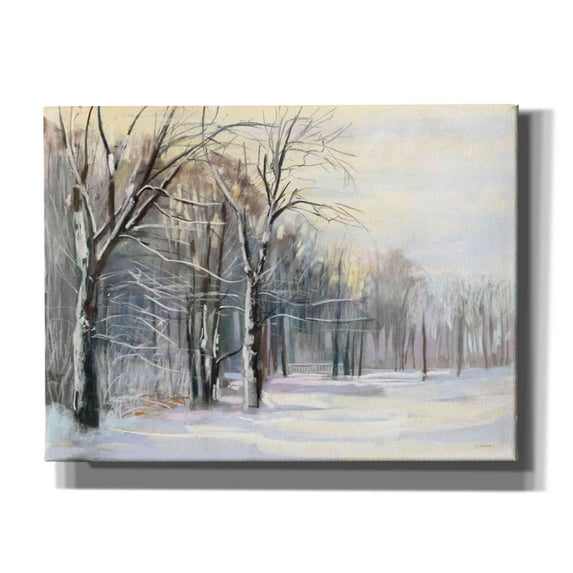 Epic Graffiti 'Winter In The Park' by Carol Rowan, Giclee Canvas Wall Art, 16"x12"