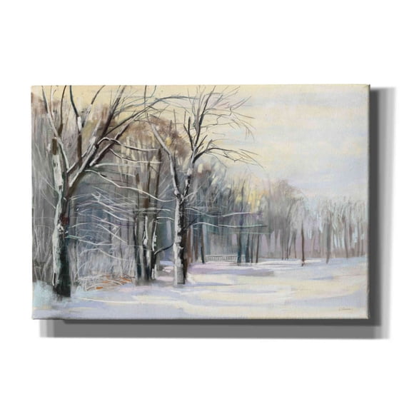 Epic Graffiti 'Winter In The Park' by Carol Rowan, Giclee Canvas Wall Art, 26"x18"