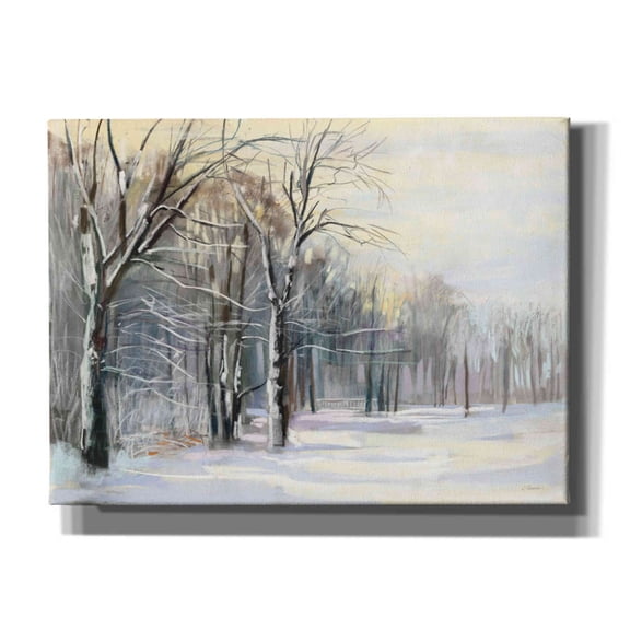 Epic Graffiti 'Winter In The Park' by Carol Rowan, Giclee Canvas Wall Art, 54"x40"