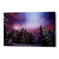 thumbnail image 1 of Epic Graffiti "Winter Nights" by Darren White, Giclee Canvas Wall Art 18" x 26", 1 of 2