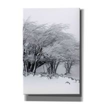 Epic Graffiti 'Winter Storm' by Incado, Giclee Canvas Wall Art, 12"x18"