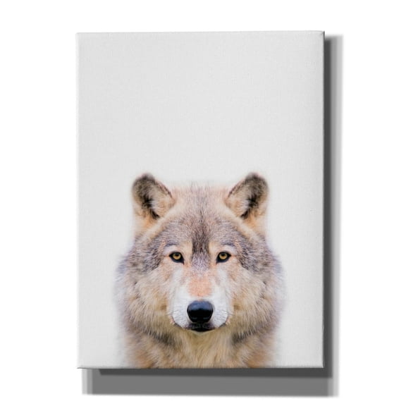Epic Graffiti 'Wolf' by Tai Prints, Canvas Wall Art, 40"x54"