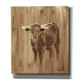 thumbnail image 1 of Epic Graffiti 'Wood Panel Longhorn' by Ethan Harper Canvas Wall Art, 26"x30", 1 of 3