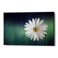 thumbnail image 1 of Epic Graffiti  "Wood Series: A Daisy" Giclee Canvas Wall Art, 12" x 18" 12" x 18", 1 of 2
