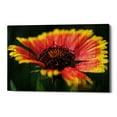 thumbnail image 1 of Epic Graffiti 'Wood Series: Sunburst' Canvas Wall Art, 18" x 26", 1 of 2