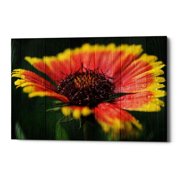 Epic Graffiti 'Wood Series: Sunburst' Canvas Wall Art, 18" x 26"