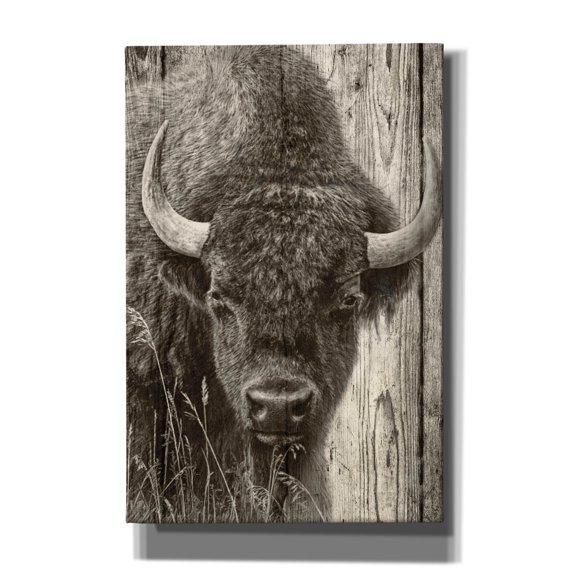Epic Graffiti 'Woodgrain Antiques 03' by Gordon Semmens Canvas Wall Art, 12" x 18"