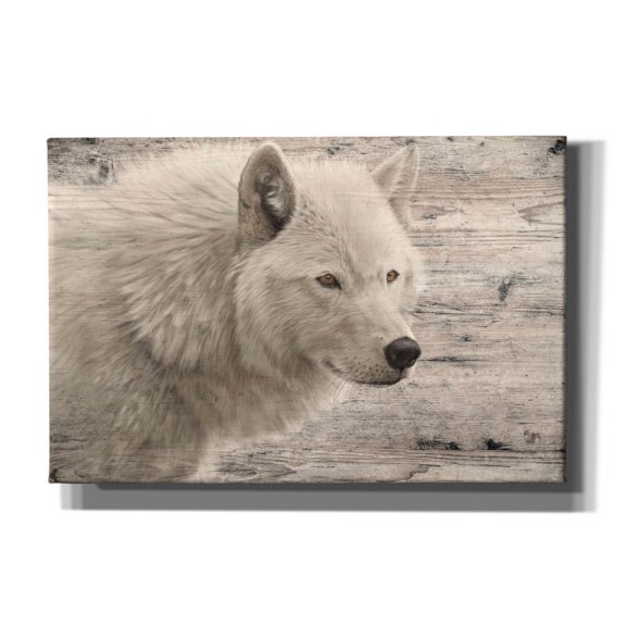 Epic Graffiti 'Woodgrain Antiques Arctic Wolf' by Gordon Semmens Canvas Wall Art, 60" x 40"