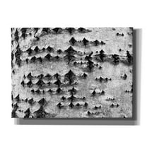 Epic Graffiti 'Woodpecker's Delight' by IMB, Canvas Wall Art, 54"x40"