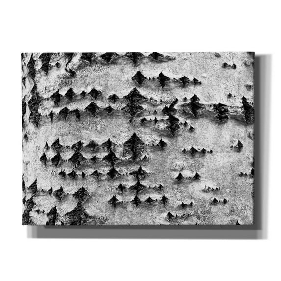 Epic Graffiti 'Woodpecker's Delight' by IMB, Canvas Wall Art, 54"x40"