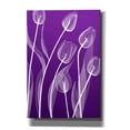 thumbnail image 1 of Epic Graffiti 'X-ray Flowers Purple' by GraphINC, Giclee Canvas Wall Art, 18"x26", 1 of 8
