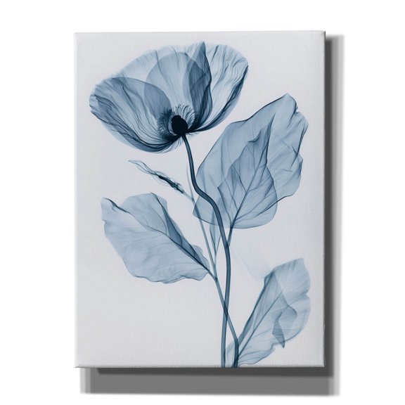 Epic Graffiti 'X-rayed Flower'  by Andreas Magnusson Canvas Wall Art, 12" x 16"