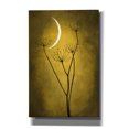 thumbnail image 1 of Epic Graffiti 'Yellow Crescent Moon' by Philippe Sainte-Laudy, Canvas Wall Art, 40"x60", 1 of 8