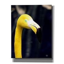 Epic Graffiti 'Yellow Flamingo' by Dana Brett Munach, Canvas Wall Art, 26"x34"