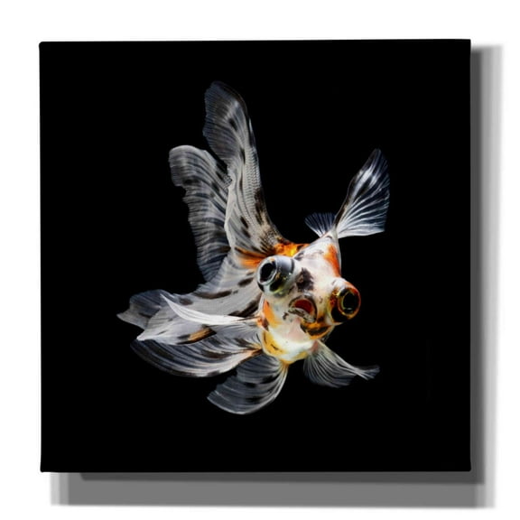 Epic Graffiti 'You Did What' by Epic Portfolio Giclee Canvas Wall Art, 37"x37"