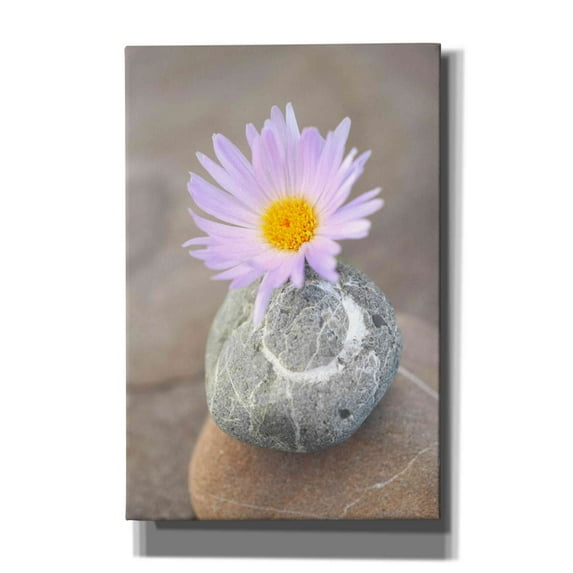 Epic Graffiti 'Zen Flower Meditation' by Elena Ray, Canvas Wall Art, 40"x60"